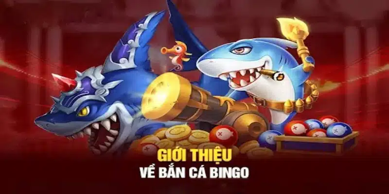 Giới thiệu thông tin chung về bắn cá Bingo