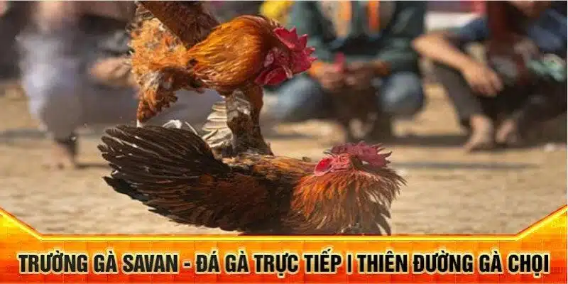 Trường Ga Savan