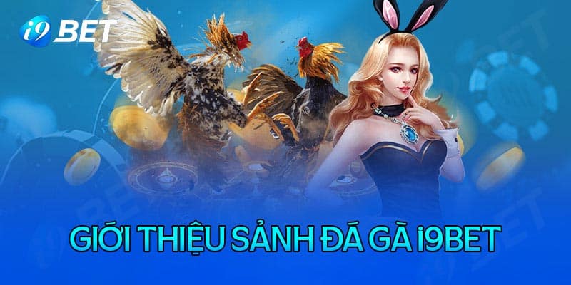 Trò chơi đá gà tại i9bet