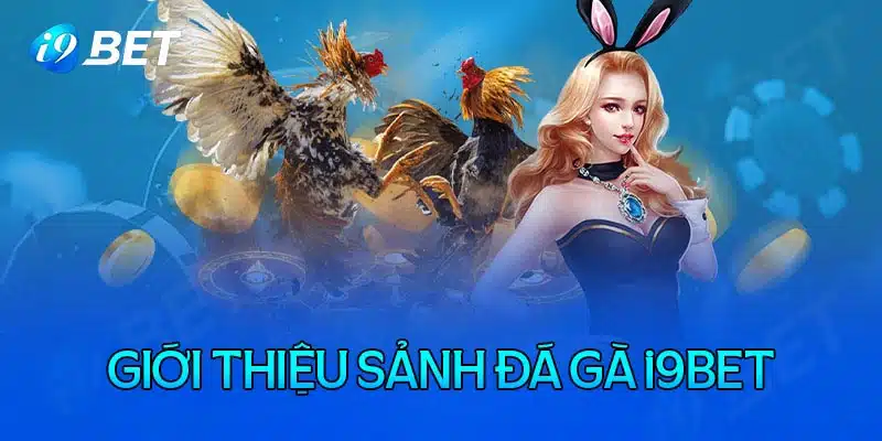 Trò chơi đá gà tại i9bet